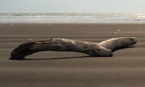 Driftwood from our West Coast beaches served as inspiration for our Linear logs